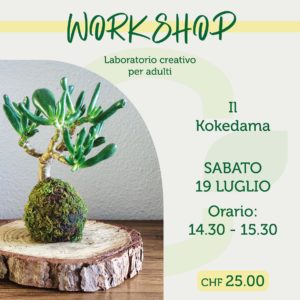 WORKSHOP - Il Kokedama