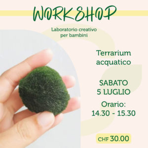 Workshop - Terrarium acquatico