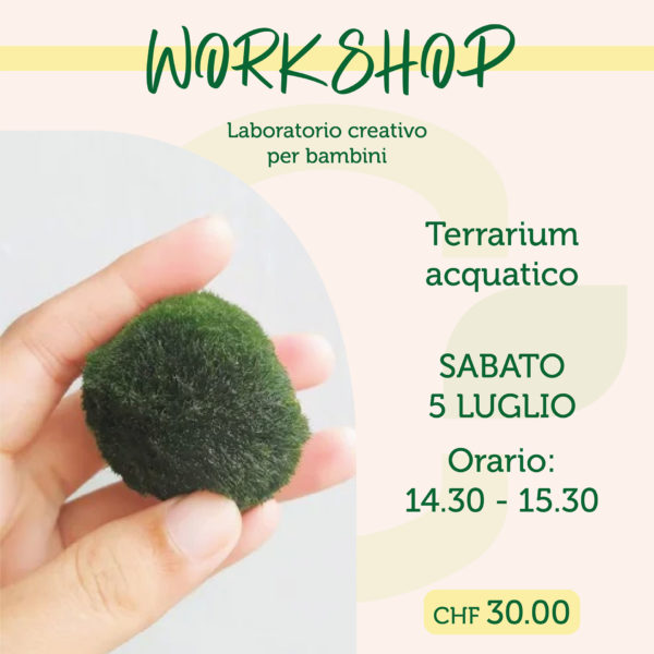 Workshop - Terrarium acquatico