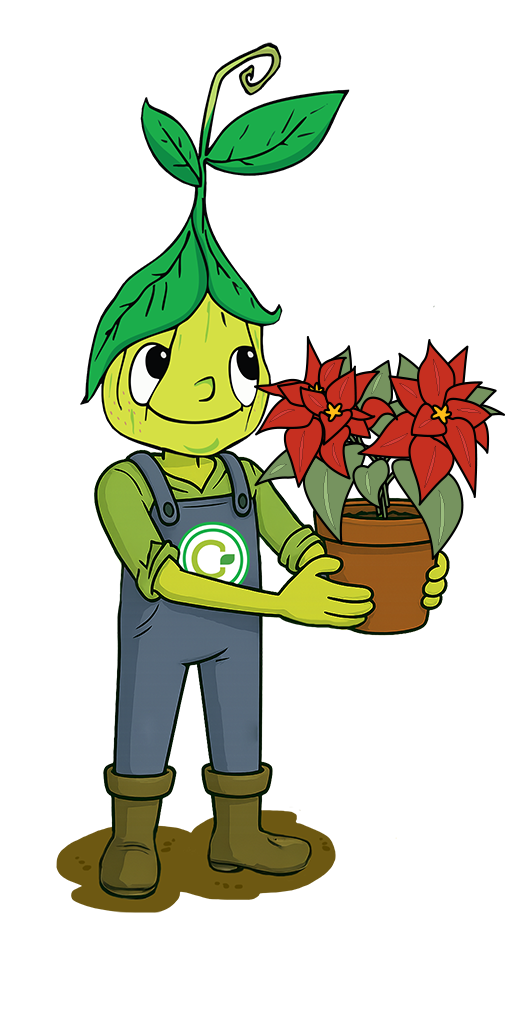 CamÌ stella di Natale