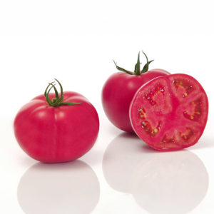 Pomodoro Fuji-Pink